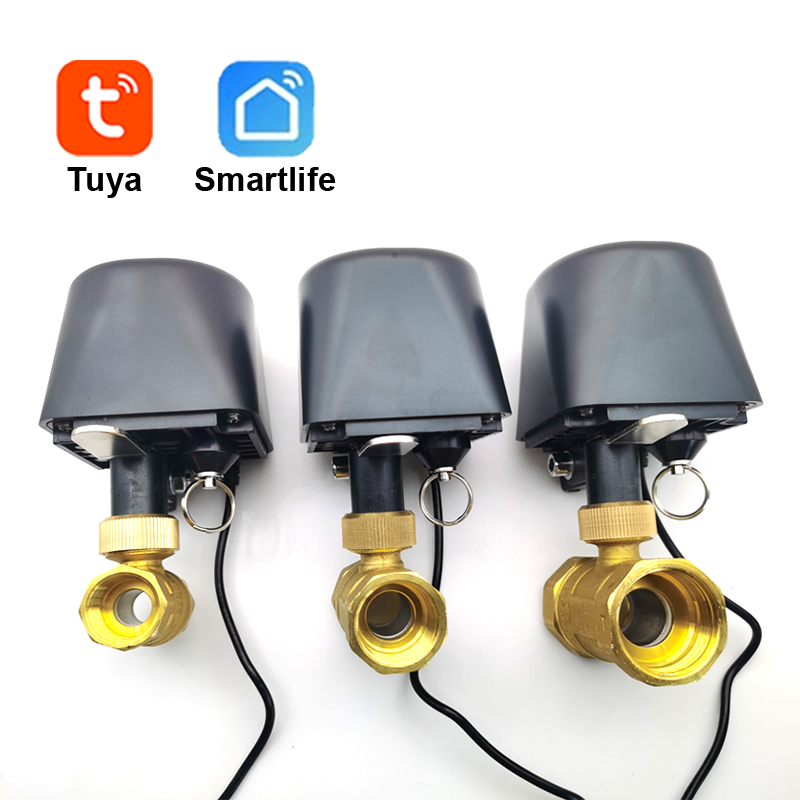 Tuya WiFi or Zigbee Water Valv - Home Assistant Tuya recension och pris
